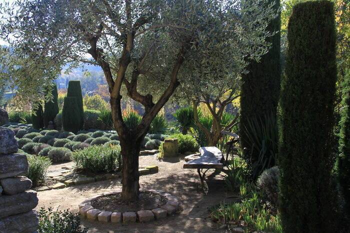 Vaucluse