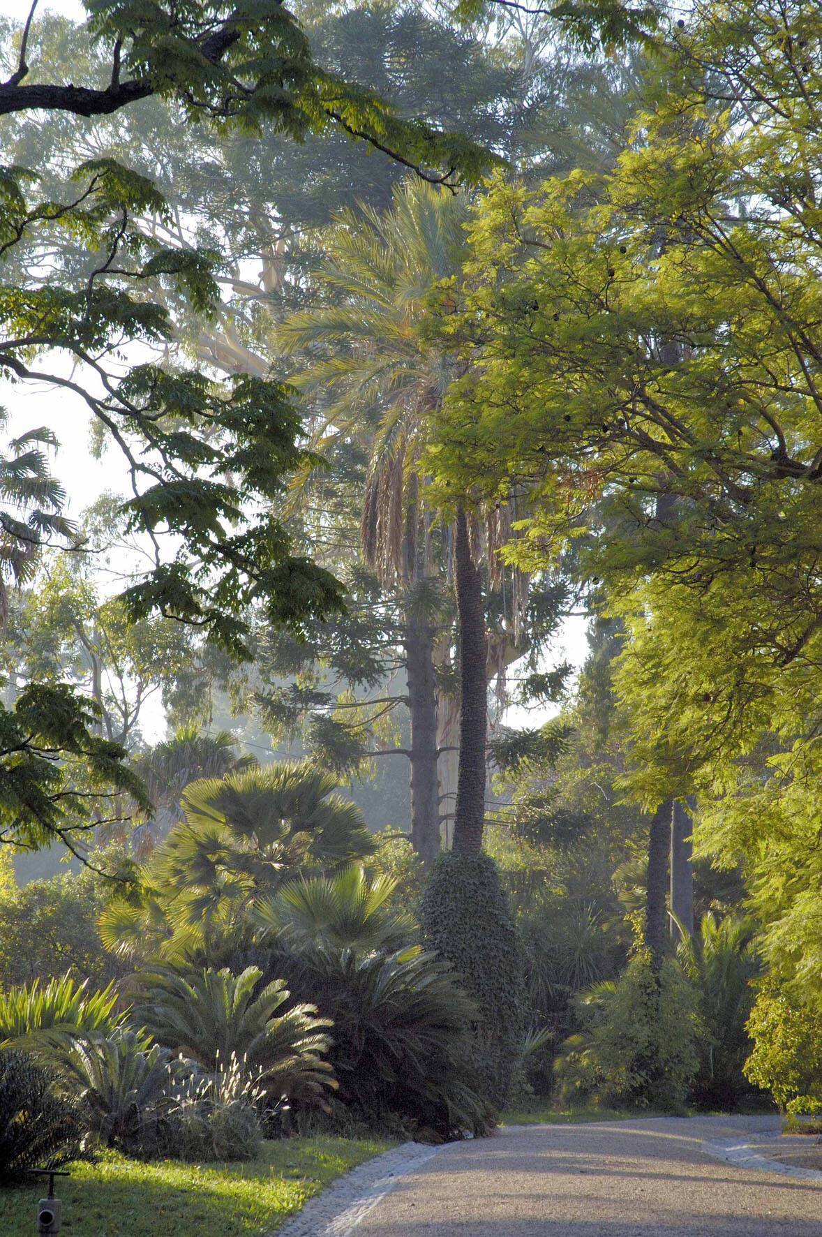 Antibes Jardin Botanique De La Villa Thuret