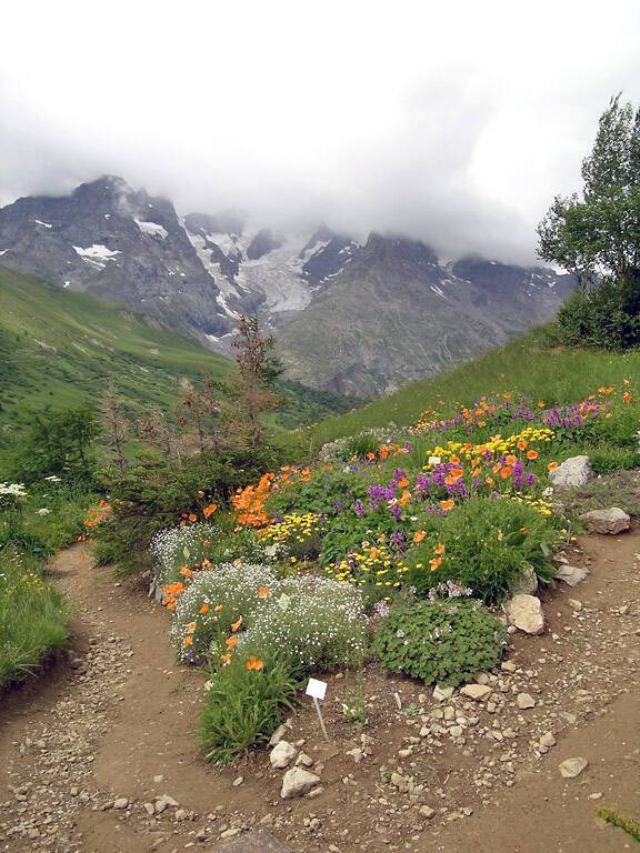 Villar D Arene Jardin Du Lautaret